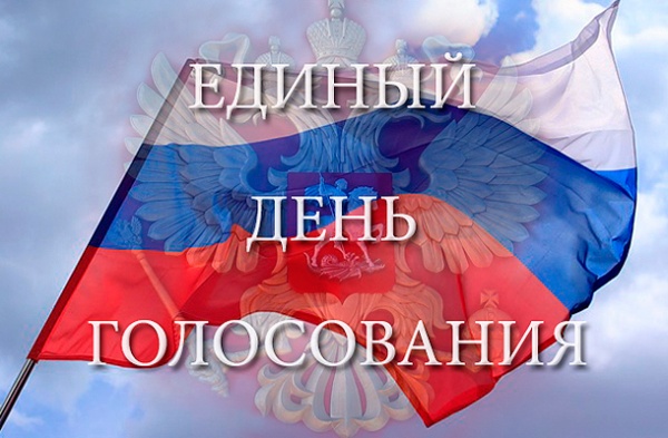 Обнародованы результаты выборов в Воронежскую областную думу по Борисоглебску width=360px
