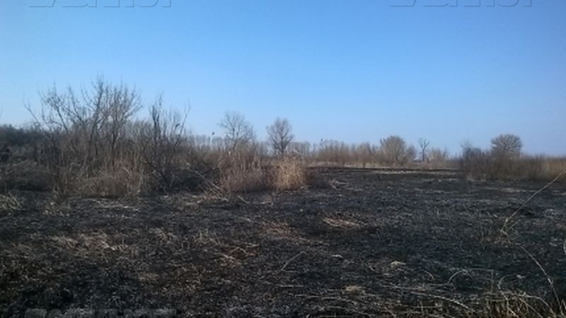 В Новохопёрском районе рыбак чуть не спалил поселок, чтобы избавиться от гадюк width=360px