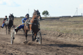 Под Балашовом прошли конно-спортивные соревнования