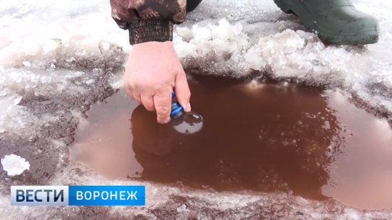 Жители Новохопёрского района бьют тревогу из-за красной воды в пруду width=360px